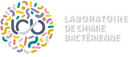 Aix Marseille Université